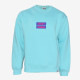 SALTY SLANG BOX WORD LOGO CREW SLU223TA01-5858